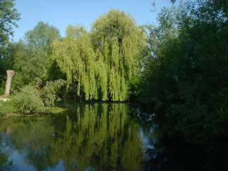 DSC05427.JPG